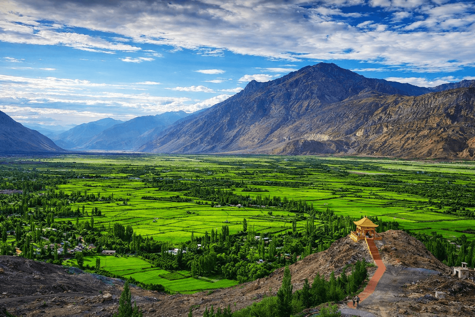 Nubra & Pangong Escape
