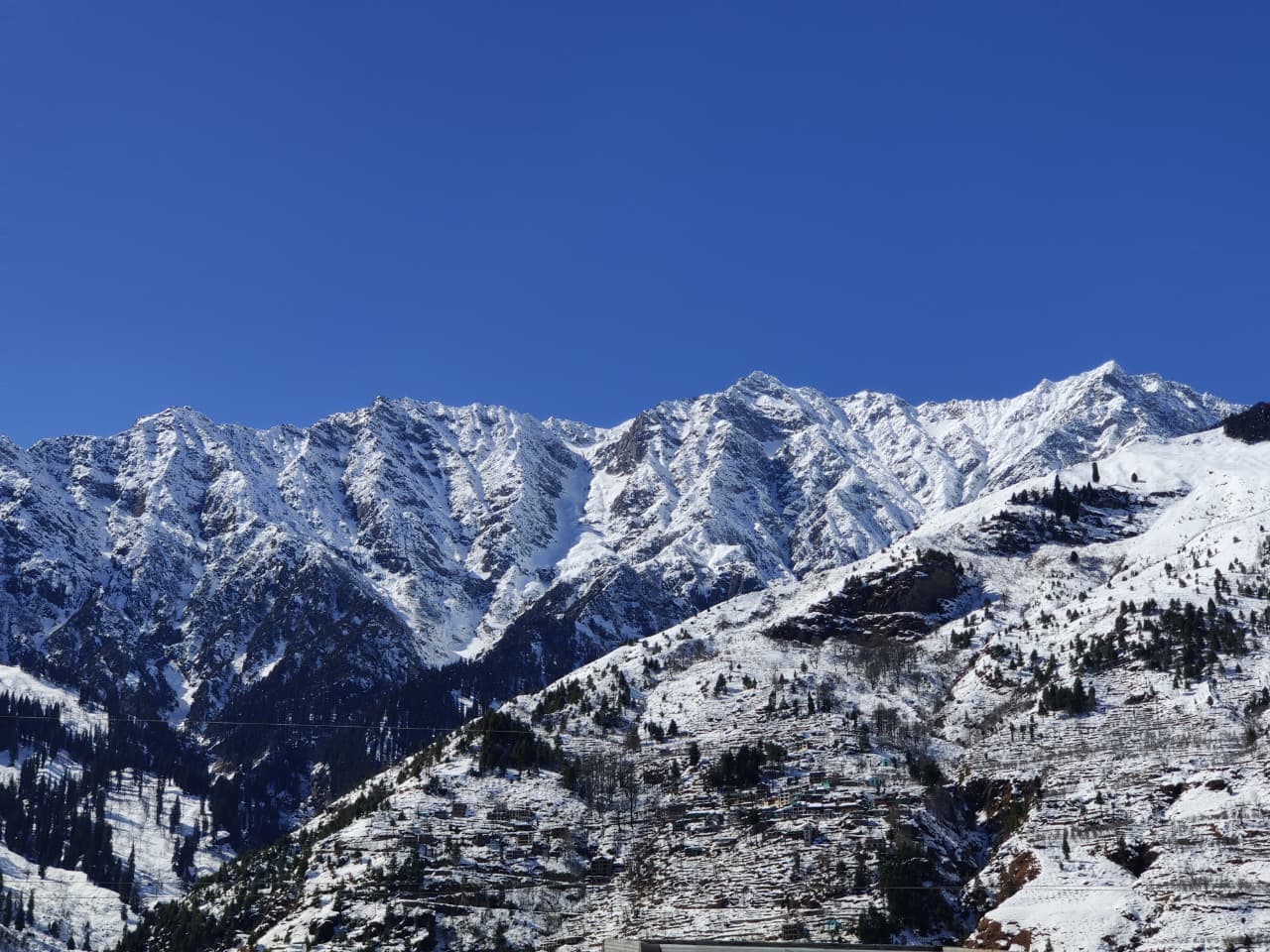 PHOTO GALLERY item 4