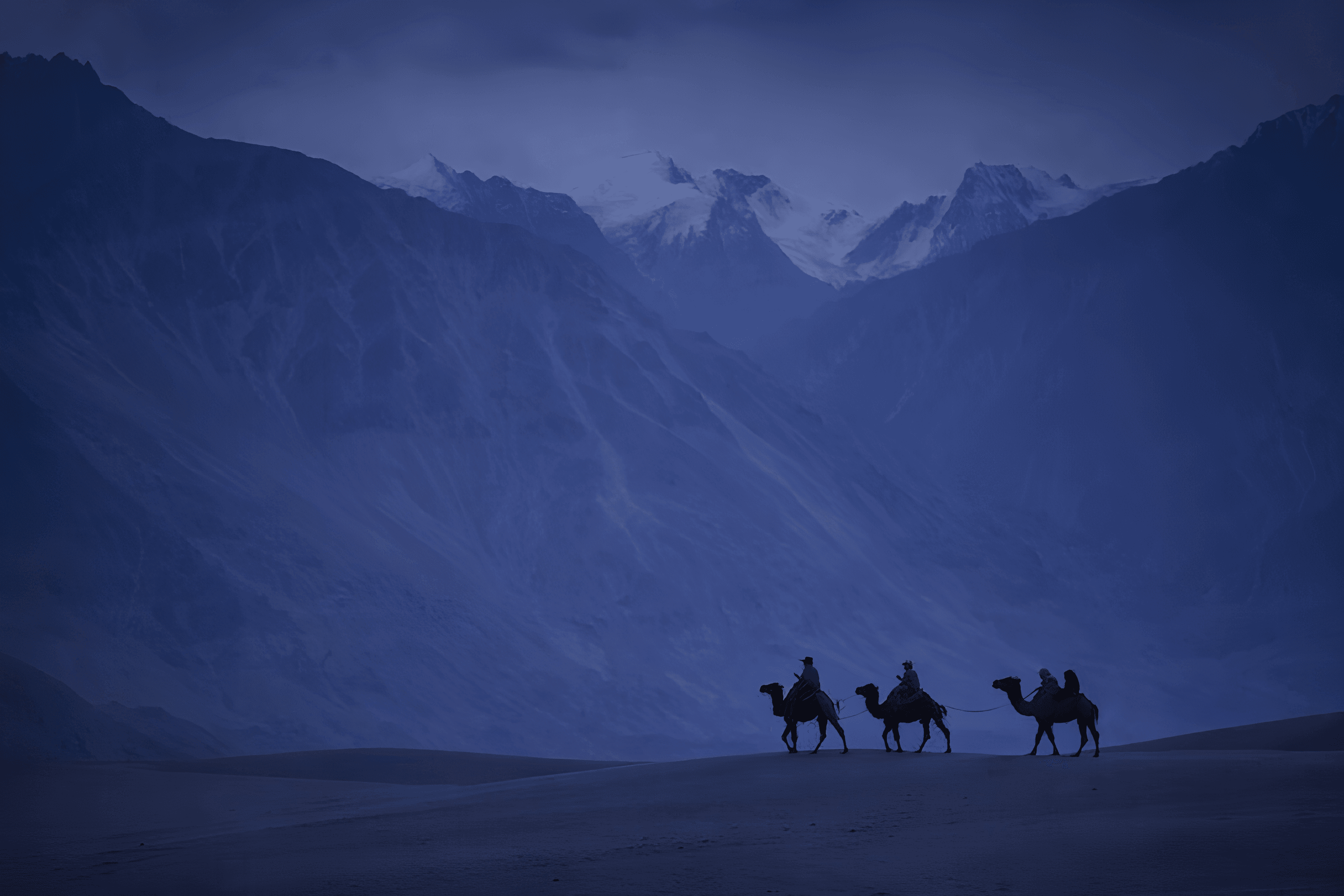 Ladakh landscape